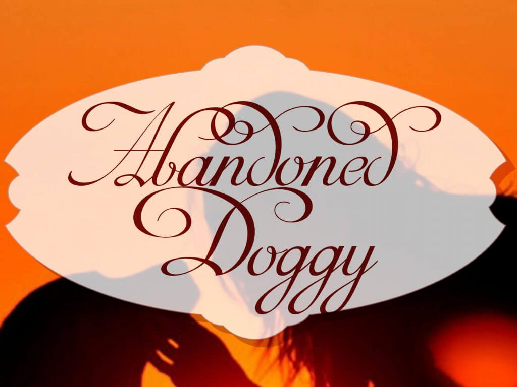 abandonned doggy