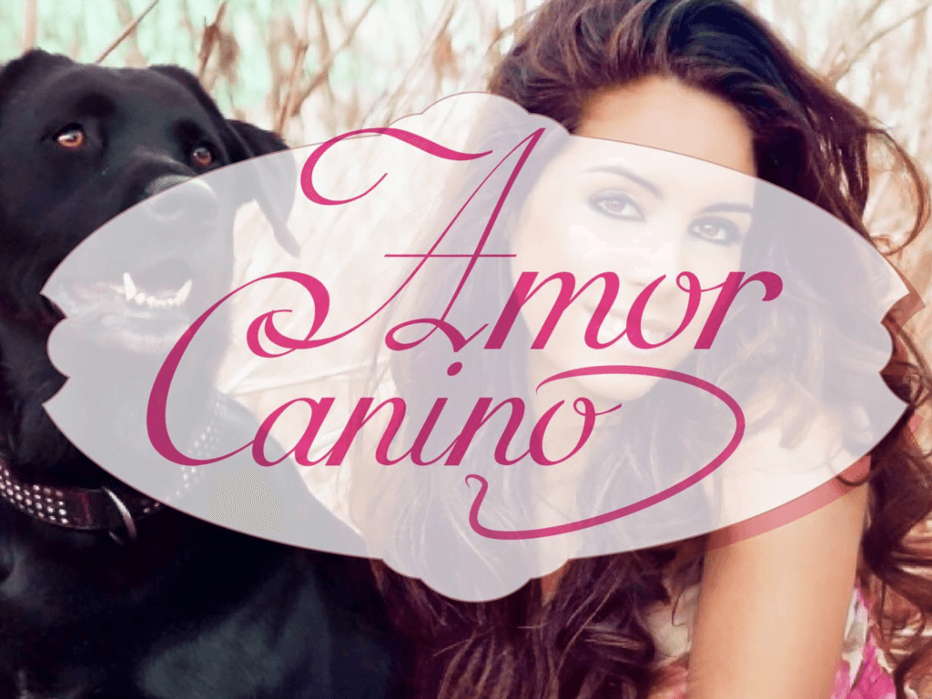 Amor Canino