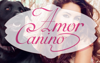 Amor Canino