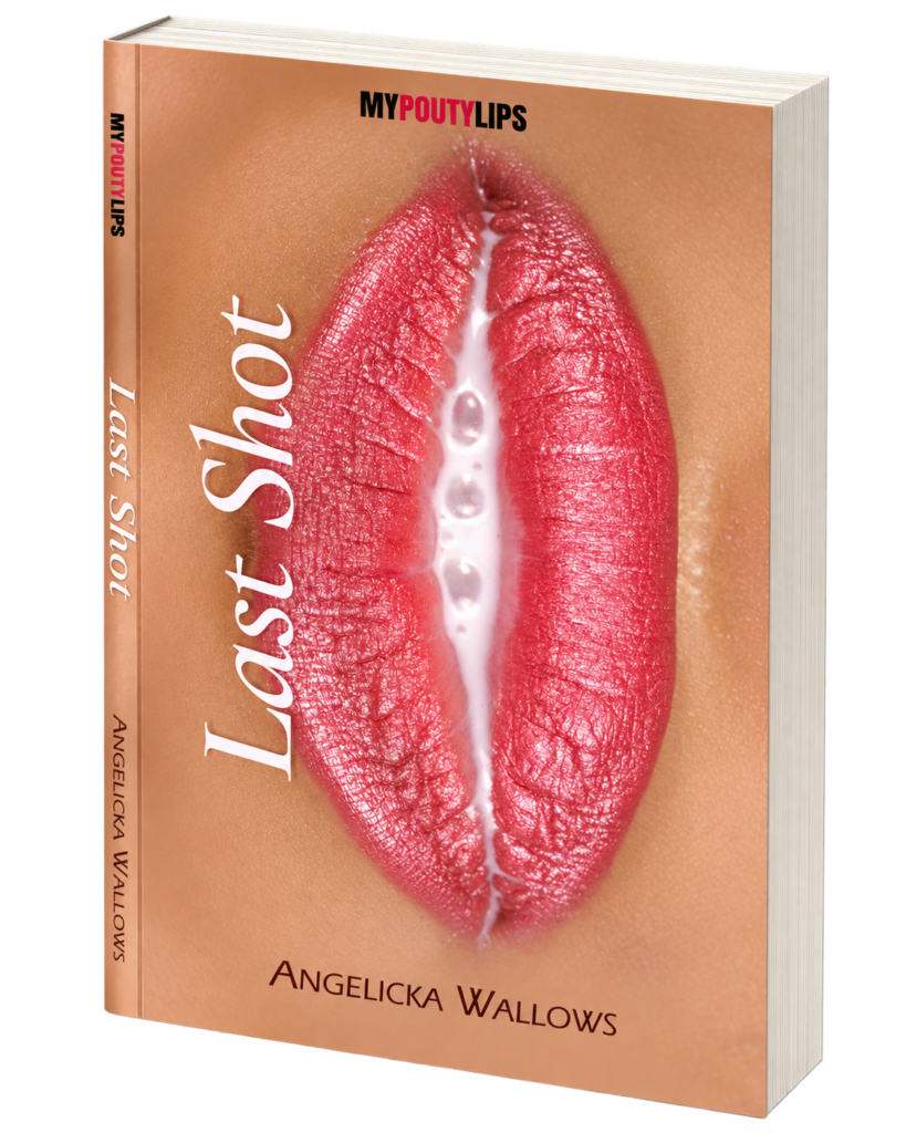 last shot book cover