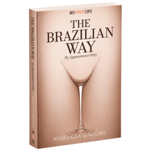 the brazilian way book cover
