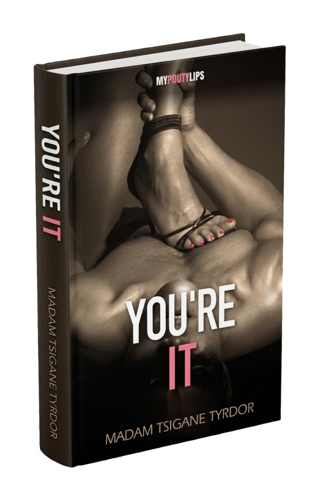 you re it book cover