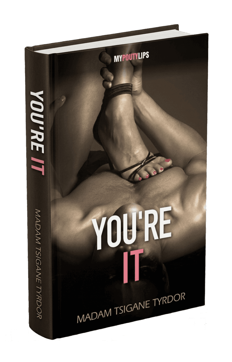 you re it book cover